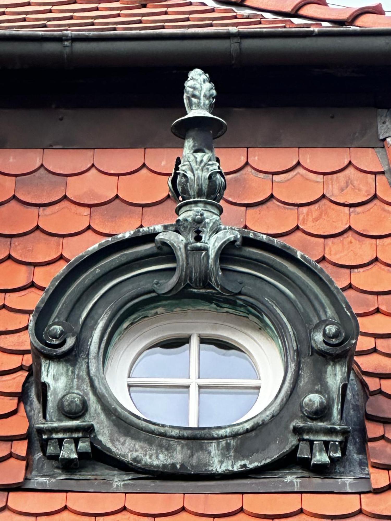 Jelonka